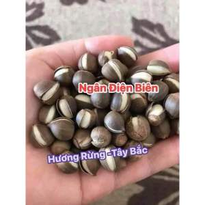 Hạt dẻ nếp Điện Biên - food thơm ngon - món ăn vặt