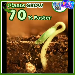 Green House® - Fast Rooting Powder Hormone (1 Pack) Rooting Powder for All Types of Plants - Rapid Rooting Powder Growth