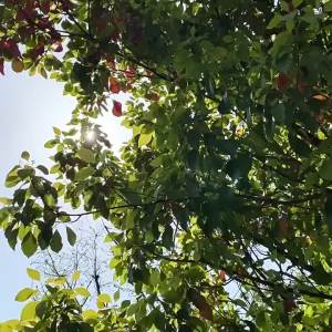 Màn Che Nắng Cửa Sổ Ô Tô Đa Năng Xoay Được Lưới Chống Nắng Chống Tia UV Chống Chói Rèm Chắn Riêng Tư Che Nắng Cửa Sổ Xe Hơi