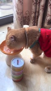 Pate Neeka thơm ngon bổ sung dinh dưỡng Mix rau củ 6 hương vị dành cho cả Mèo và Chó - Hộp 85g