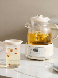 URINGO |Glass Multi-functional Thermostat Water Kettle