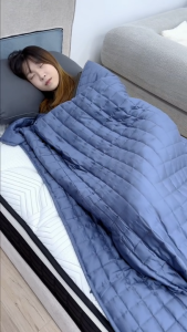 (DREAMAX) ELOV Weighted Blanket -  Single / Super Single/ Queen / King / Blanket / SG