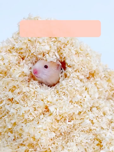 Natural Bedding Odour-Binding for All Small Animal Homes Hamster Chinchilla Guinea Pig 1kg