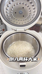 SG【ReadyStock】Zemkon Electric Rice Cooker WoodFireFlavor ScentBoost InfantPorridge FitnessMeal DessertBake DoughRise