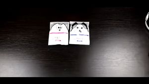 DJEVPETSHOP Kalung Anti Kutu Anjing Kucing Atasi Kutu Tungau Parasit Pengganggu Hewan Aksesoris Leher