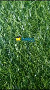 (1BIJI) JOYKO BALLPOINT BP-213 QUACO 4WARNA: ballpoint berkualitas untuk sekolah