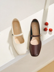Josiny | Red Brown Mary Jane Shoes Stylish Chunky Heel Buckle 2026 New