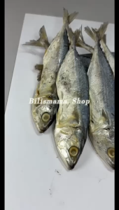 1kg Ikan Masin Pelaling Sisik Wangi (Putih Tidak Kuning) 5A Ikan Tamban Kering Ikan Kering Tamban Ikan Masin 咸鱼