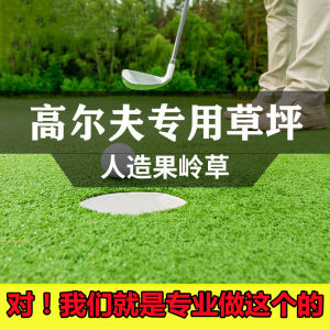Artificial Putting Green Grass Golf Specialty Lawn Indoor Outdoor Simulation Lawn Croquet Field Grass Yarn Grass