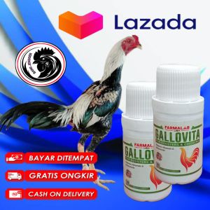 Vitamin Nutrisi Harian Ayam Aduan Bangkok Petarung