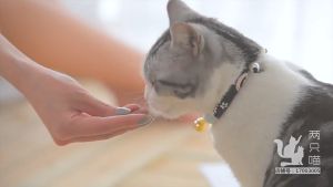 Japanese Style Pet Cat & Dog Bell Collar Sakura Cute Adjustable | Leher Gelang Lonceng Kucing Gaya Jepun Sakura | 日系可爱和风项圈铃铛脖圈颈带颈链猫咪饰品项