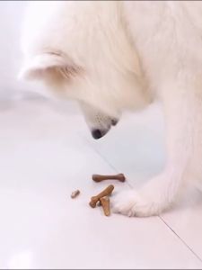 Dog dental chew bone pet molar bone for oral hygiene