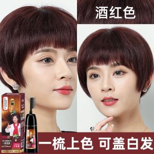 Plant-Based Wine Red Hair Dye One-Comb Color Hair Coloring Paste Cover Grey Hair Home Dyeing Top Ten Brands Hair Care