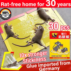 Rat-free home for 30 years Gam tetikus perangkap tikus 1 box/10 pieces Gam tikus paling kuat Largerand thicker Rat glue trap Strong mouse glue trap Glue imported from Germany Mouse Sticker trap Sticky mouse glue Pelekat tikus kuat