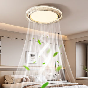 Quiet Inverter Ceiling Fan Light