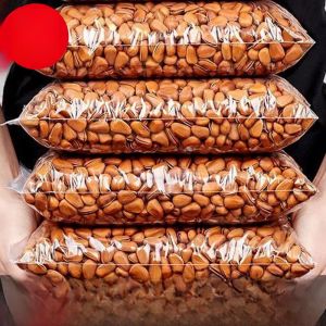 2024 New Stock Large Particle Open Shell Pine Nuts Non Specialty Grade Extra Large Northeast Pine Kernel Snacks Roasted Goods
