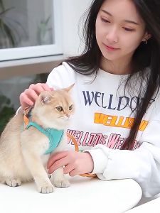 【KenCo】สายจูงสัตว์เลี้ยง ใหม่! Colorful Reflective สายจูงแมว สายจูงหมา ปลอกคอแมว