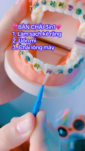 Hộp 60 Bàn Chải Kẽ Răng Cọ Chải Mi Lược Chải Lông Mày Mini Bàn Chải Chỉnh Nha Chải Uốn Mi Chải Gắn Mi Giả
