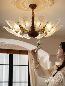 DIZAN | French Retro Chandelier