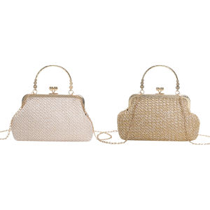 Sophisticated Ladies Evening Bag with Chain Handle Small Clutch for Weddings and Formal Events Stylish and Exquisite