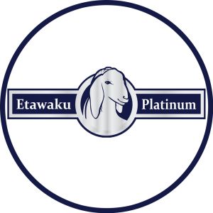 [ TERLARIS ] ETAWAKU PLATINUM - Susu Kambing Etawa Murni Asli 100% Original Solusi Atasi Masalah Pernapasan / Asma / Kolesterol Tinggi Kalsium Rendah Lemak Rendah Gula Atasi Gangguan Tulang & Sendi Osteoporosis Nafas Lega