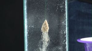 ผงสลายมโน ST Fishing ช่วยในการแตกตัวของเหยื่อ เพิ่มความฟุ้งกระจาย