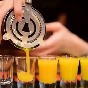 Chặn Đá Ngắn Inox