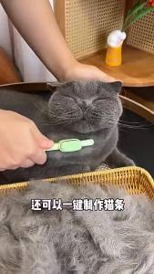 Cat Brush For Short Long Hair Deshedding Tool With Release Button Pet Grooming Comb Fur Remover Shedding Supplies