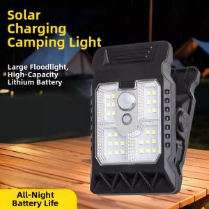 Motion Sensing Waterproof Garden Light