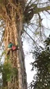 Madu Murni Klanceng Liar 1 Kg dan 500 Gr