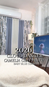 PANTONE COLOR OF THE YEAR 2026 Korean Curtain Non-Blockout Cloud Dancer Series Camella Gray - Baby Blue Modern Home 10 Ring Curtains