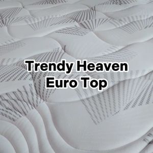 Trendy Heaven Euro Top 21cm - Kasur Busa Rebonded / Mattress / Matras Rebonded Foam (GRADE A) - Vacuum Press Roll In a Box