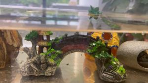 🇹🇭 ถูก💯🥇 แต่งตู้ปลา สะพานเรซิน ตกแต่งตู้ปลา สะพานถ้ำหิน อุปกรณ์ประดับ ของ ตกแต่งตู้ปลา
