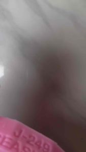 รวมแม่พิมพ์ เปลือกหอย หอยแครง ปลาดาว เหมือนจริงคมชัดทุกแบบ