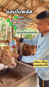 แอนโนพลัส แร่ธรรมชาติสำหรับสัตว์เลี้ยง กิโลกรำหว้า อาหารเสริมสัตว์ โตไว ผสมติดง่าย ลดกลิ่น ลดต้นทุน