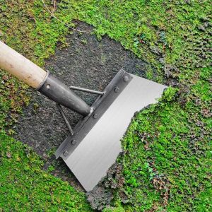 🔥วัสดุหนา ใช้งานได้หลากหลาย - สีของเนื้อเหรียญ หรือจุดอ่อนลำไยนตามต้องการ พลั่วตักดิน ช้อนปลูก พลั่วเล็ก ด้ามไม้ ช้อนพรวนดิน ส้อมพรวนดิน พรั่ว เสียม พลช้อนพรวนดิน ส้อมพรวนดิน พลั่วแซะหญ้า คราดถากหญ้า พลั่วแซะญี่ปุ่น พลั่วญี่ปุ่น พรั่วแซะหญ้า