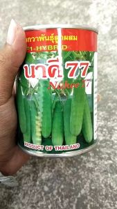 แตงกวา นาคี77 หมดอายุ 02-2570 ขนาด 100 กรัม ลอตใหม่ ผลสีเขียวเข้ม ขึ้นค้างเก่ง ผลดกสวย  เนื้อหนา หวานกรอบ ผลยาว 13 ซม. ขายง่าย อายุ 29 วัน