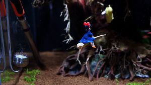 Hiasan Dekorasi Aquarium Dragon Ball & Kiki’s Delivery Services Ghibli Anime Kiki Hiasan Akuarium Ornamen Aquarium Aquascape