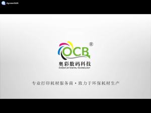 Compatible Ink Cartridges for HP Printers: Pigment Ink Continuous Supply System