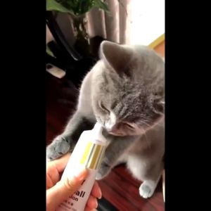 Pet Cat Supplement Gel Hairball Solution Dog Nutrition Cream Fish Oil Lecithin Skin Hair Care Pet nutritional cream Dog nutritional cream pet cats dogs nutritional gel multivitamins probiotics lecithin lysine