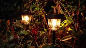 Outdoor Solar Stake Lights Waterproof Dusk Auto On Off LED Landscape Light Solar Powered Yard Driveway Path Lawn Patio Garden De