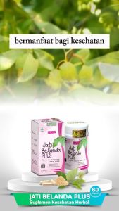 Kapsul Daun Jati Belanda Untuk Diet Herbal Detox Obat Pelangsing Badan isi 60.