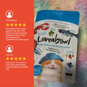 Loveabowl Grain Free Dry Cat Food 1kg | Complete Diet Kibbles Chicken Snow Crab Herring Salmon Lobster