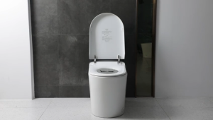 Rubine x sgPlumbMart Antonio P07 Smart WC Efficient Whirl Wash Water Saving Toilet Bowl (P-Trap)