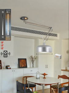 DGY | Adjustable Swing Arm Pendant Light