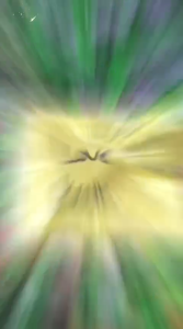 Paket Balon dekorasi  Happy Anniversary Love Gold & Black Set Anniv Lengkap Murah