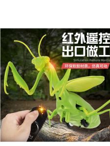 New New Exotic Remote Control Animal Two-Way Machine Mantis Childrens Simulation Trick Toy Electric Insect Toy