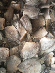 SUPER MURAH  Ikan Asin  Tamakang/ Biawan COD Bayar Di Tempat