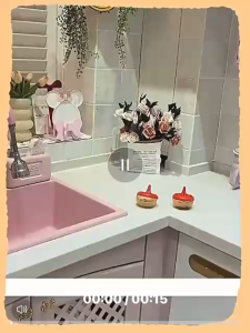 Fruit Fly Catcher | Fly Trap Killer | Fly Repellant <<SHIP 24HR> #20