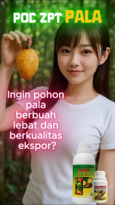 Paket POC ZPT Pupuk Pala Cepat Berbuah | Pupuk Pala Pelebat Buah | Booster Pala Berbuah Lebat